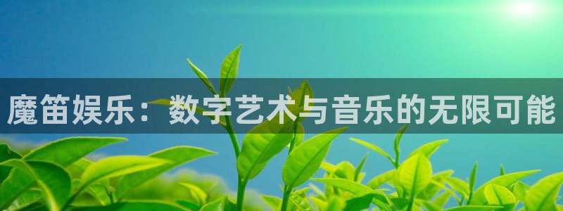 恒盛娱乐体育游戏：魔笛娱乐：数字艺术与音乐的无限可能