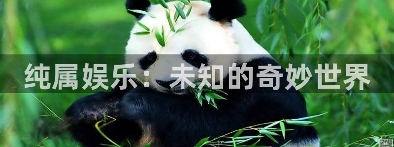 恒盛娱乐游戏有哪些好玩的：纯属娱乐：未知的奇妙世界