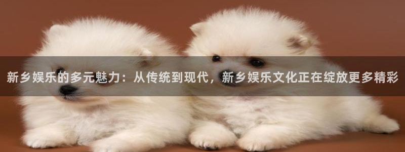恒盛娱乐3平台登录注册：新乡娱乐的多元魅力：从传统到现代，新乡娱乐文化正在绽放更