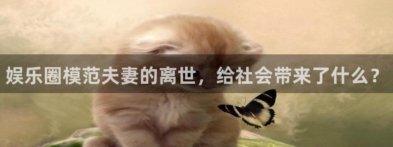 恒盛娱乐环保：娱乐圈模范夫妻的离世，给社会带来了什么？