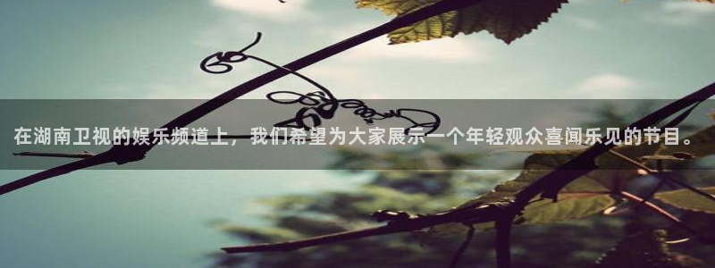 恒盛娱乐2登录入口：在湖南卫视的娱乐频道上，我们希望为大家展示一个年轻观众喜闻乐