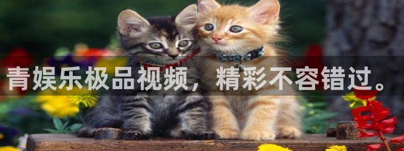 恒盛娱乐链接：青娱乐极品视频，精彩不容错过。