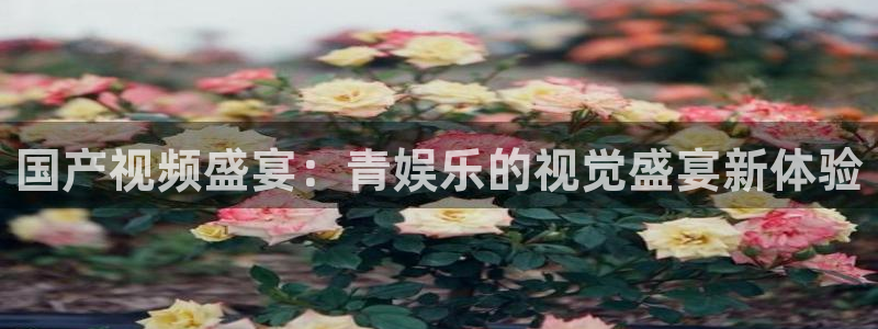 恒盛娱乐是什么平台：国产视频盛宴：青娱乐的视觉盛宴新体验