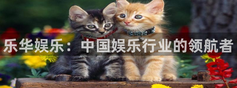 恒盛娱乐凯捷注册：乐华娱乐：中国娱乐行业的领航者