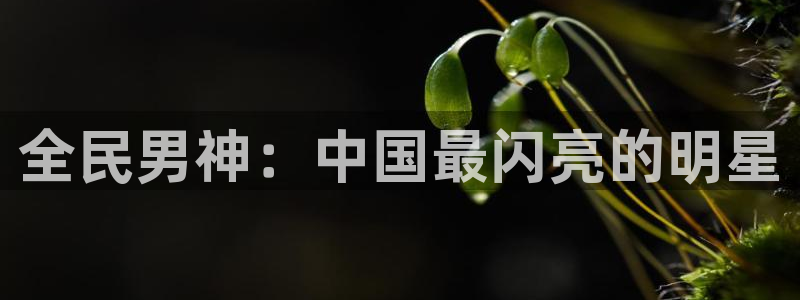 恒盛娱乐体育老板是谁：全民男神：中国最闪亮的明星