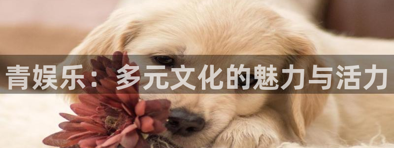 恒盛娱乐平台主管：青娱乐：多元文化的魅力与活力