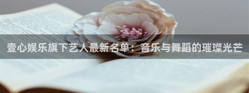 恒盛娱乐下载官网入口在哪：壹心娱乐旗下艺人最新名单：音乐与舞蹈的璀璨光芒