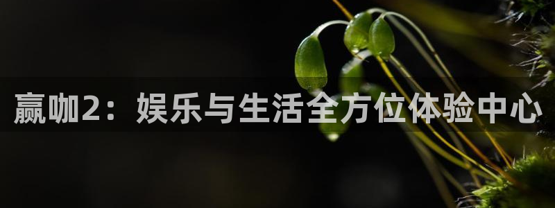 恒盛娱乐体育1招商：赢咖2：娱乐与生活全方位体验中心