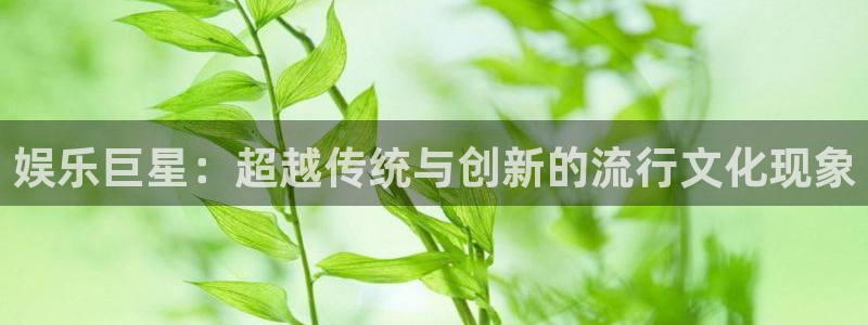 恒盛娱乐2体育登录入口：娱乐巨星：超越传统与创新的流行文化现象