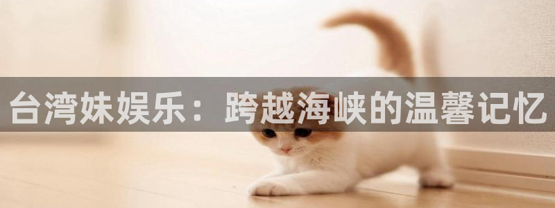恒盛娱乐4官网：台湾妹娱乐：跨越海峡的温馨记忆