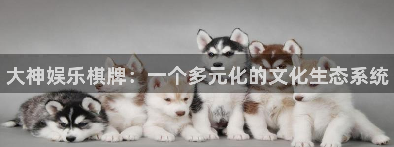 恒盛娱乐体育注册代理：大神娱乐棋牌：一个多元化的文化生态系统