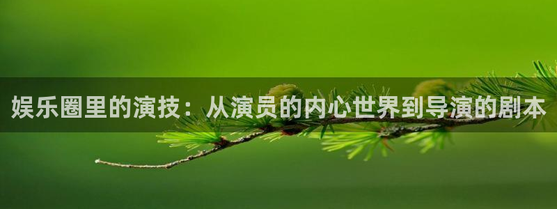 恒盛娱乐凯捷注册：娱乐圈里的演技：从演员的内心世界到导演的剧本