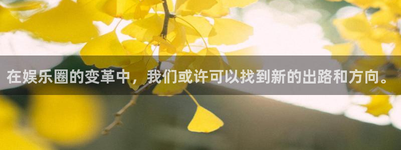 恒盛娱乐体育eon：在娱乐圈的变革中，我们或许可以找到新的出路和方向。