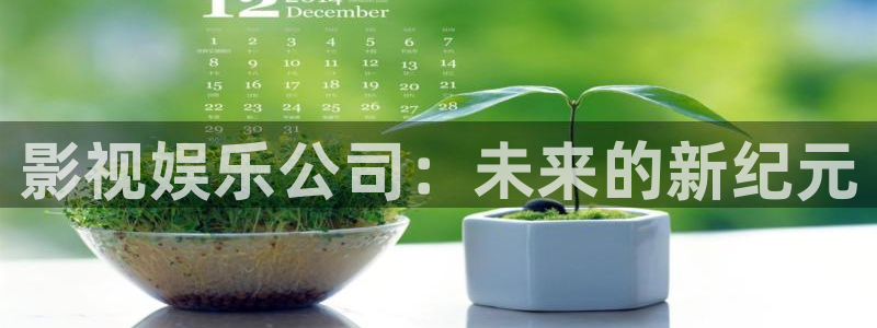 上海恒盛娱乐汽车电子有限公司：影视娱乐公司：未来的新纪元