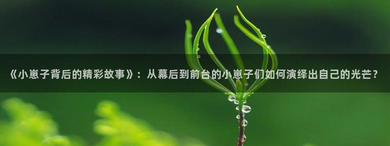 恒盛娱乐登录：《小崽子背后的精彩故事》：从幕后到前台的小崽子们如何演绎出自己的光