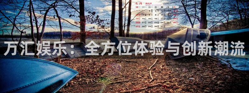 恒盛娱乐包怎么样：万汇娱乐：全方位体验与创新潮流