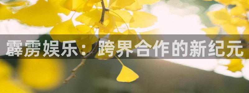 恒盛娱乐凯捷注册：霹雳娱乐：跨界合作的新纪元