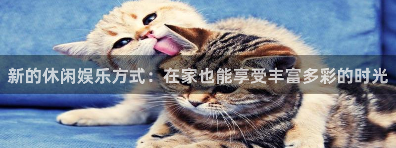 恒盛娱乐app新版上线体验.游戏更新入口.中国：新的休闲娱乐方式：在家也能享受丰