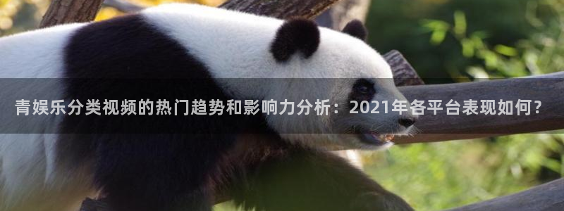 恒盛娱乐加拿大app预测：青娱乐分类视频的热门趋势和影响力分析：2021年各平台