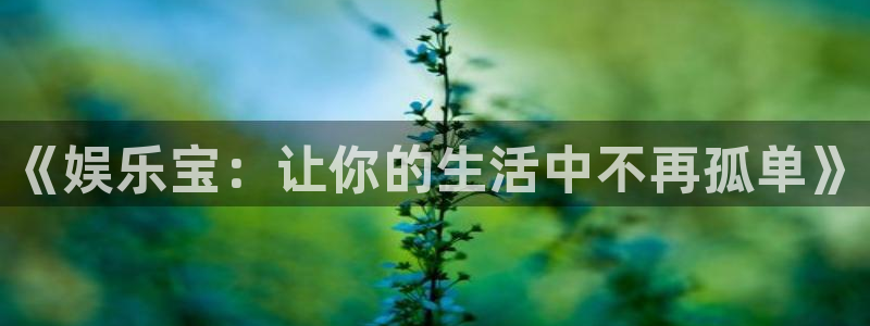 恒盛娱乐凯捷平台：《娱乐宝：让你的生活中不再孤单》
