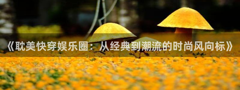 恒盛娱乐是真的吗：《耽美快穿娱乐圈：从经典到潮流的时尚风向标》