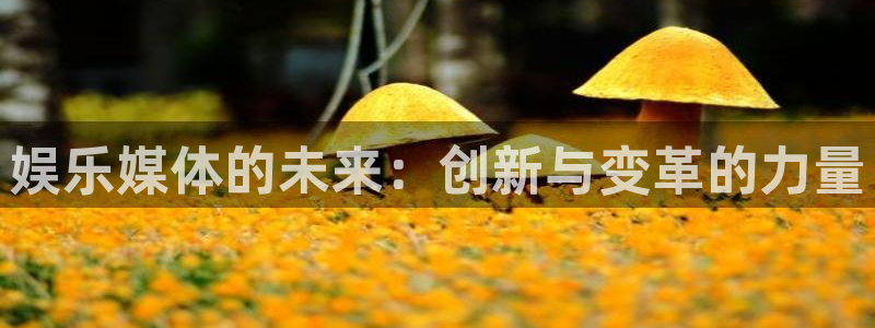 恒盛娱乐电子娱乐官网下载：娱乐媒体的未来：创新与变革的力量