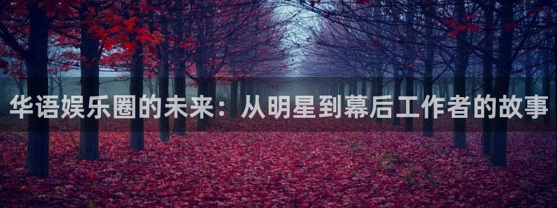 恒盛娱乐下载：华语娱乐圈的未来：从明星到幕后工作者的故事