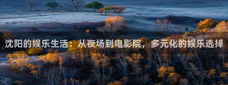 恒盛娱乐平台：沈阳的娱乐生活：从夜场到电影院，多元化的娱乐选择